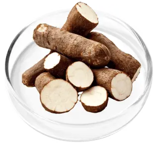 DigestiStart Ingredient