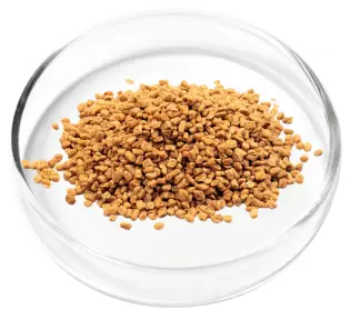 DigestiStart Ingredient