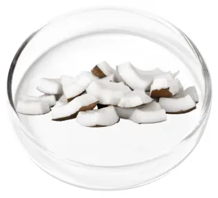 DigestiStart Ingredient